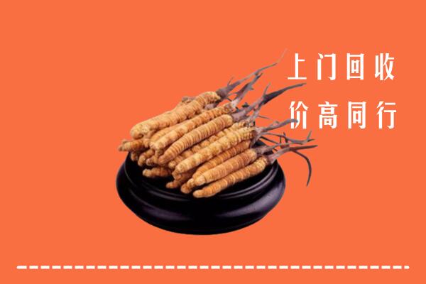 萍乡市回收冬虫夏草