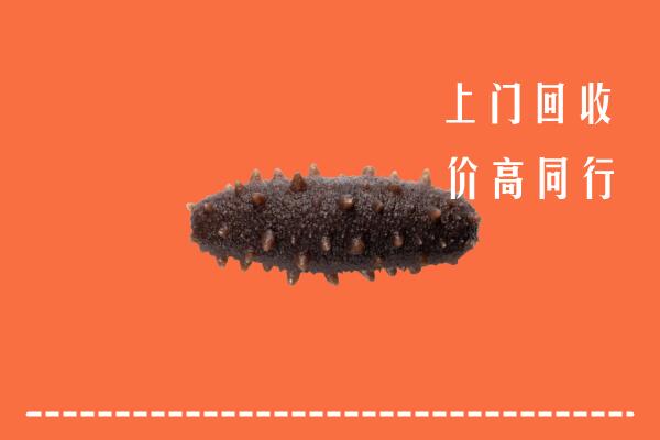 高价求购：萍乡市回收海参