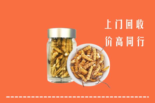 萍乡市回收冬虫夏草