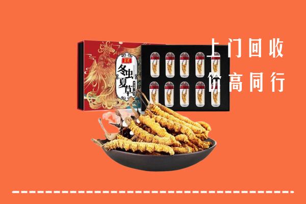 萍乡市回收虫草